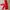Dickies Windbreaker Red Jacket