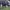 Inter Milan 1992 Original Jersey Umbro Training photo 6