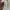 bra uniqlo 3D photo 3