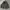 Star Mirror Puffer Jacket photo 8