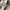 Sandals Charles And Keith