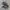 VANS AVE PRO SKATEBOARDING NOT NIKE ADIDAS CONVERSE photo 1