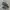 VANS AVE PRO SKATEBOARDING NOT NIKE ADIDAS CONVERSE
