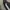VANS AVE PRO SKATEBOARDING NOT NIKE ADIDAS CONVERSE photo 8