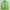 Cardigan stripe green color photo 1