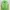 Cardigan Stripe Green Color