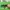 Cardigan stripe green color photo 2