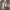 Nike Ja Morant Basketball "Welcome Camp" Second Original photo 3