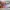 Nike Ja Morant Basketball "Welcome Camp" Second Original photo 4
