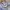 Nike Ja Morant Basketball "Welcome Camp" Second Original photo 1