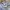 Nike Ja Morant Basketball "Welcome Camp" Second Original