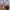 Nike Ja Morant Basketball "Welcome Camp" Second Original photo 2