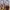 Nike Ja Morant Basketball "Welcome Camp" Second Original