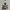 A Bathing Ape Streetwear T-shirt Pria white photo 2