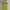 Pull And Bear Yellow Tube Top Bandeau Kemben