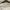 Fairy Coquette Mini skirt Wanita white photo 4