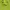 Lime Green Boxy Blazer photo 2