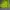 Lime Green Boxy Blazer photo 4
