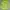 Lime Green Boxy Blazer photo 1