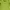 Lime Green Boxy Blazer photo 3