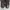 Dr Martens Matias Pony Brogue Boot Leather photo 5