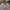 Jersey Liverpool 3rd Kit 2018-2019 Original photo 2