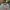 Jersey Liverpool 3rd Kit 2018-2019 Original