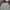 Jersey Liverpool 3rd Kit 2018-2019 Original photo 7