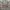 Jersey Liverpool 3rd Kit 2018-2019 Original photo 3