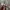 Jersey Liverpool 3rd Kit 2018-2019 Original photo 4