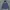 Hoodie Pancoat Second