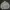 Polo Sweatshirt Pocket Lyle & Scott Original Grey Unisex