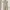BURBERRY Cream Dress  photo 4