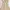 BURBERRY Cream Dress  photo 5