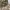 Realtree Camo Gunpowder Falls  photo 3