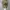 Realtree Camo Gunpowder Falls  photo 8