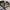 Realtree Camo Gunpowder Falls  photo 6