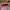 Topi Visor Official Movie Series Merchandise " Better Call S photo 4
