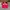 Topi Visor Official Movie Series Merchandise " Better Call S photo 1