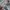 JERSEY BOLA REAL MADRID HOME 2019/2020 photo 4