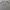 JERSEY BOLA REAL MADRID HOME 2019/2020
