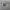JERSEY BOLA REAL MADRID HOME 2019/2020 photo 2