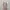 Floral Dress babydoll photo 1