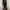 Zara TRF Maxidress