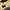 M65 field military army winter jacket  photo 3