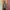 M65 field military army winter jacket  photo 2