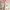 Cardi lace pink knit&co  photo 5
