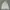 Hoodie halfzip kodak second photo 1