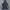 Hoodie Fluke Spellout Second