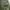 Uniform Bridge Fatigue Pants Military photo 5